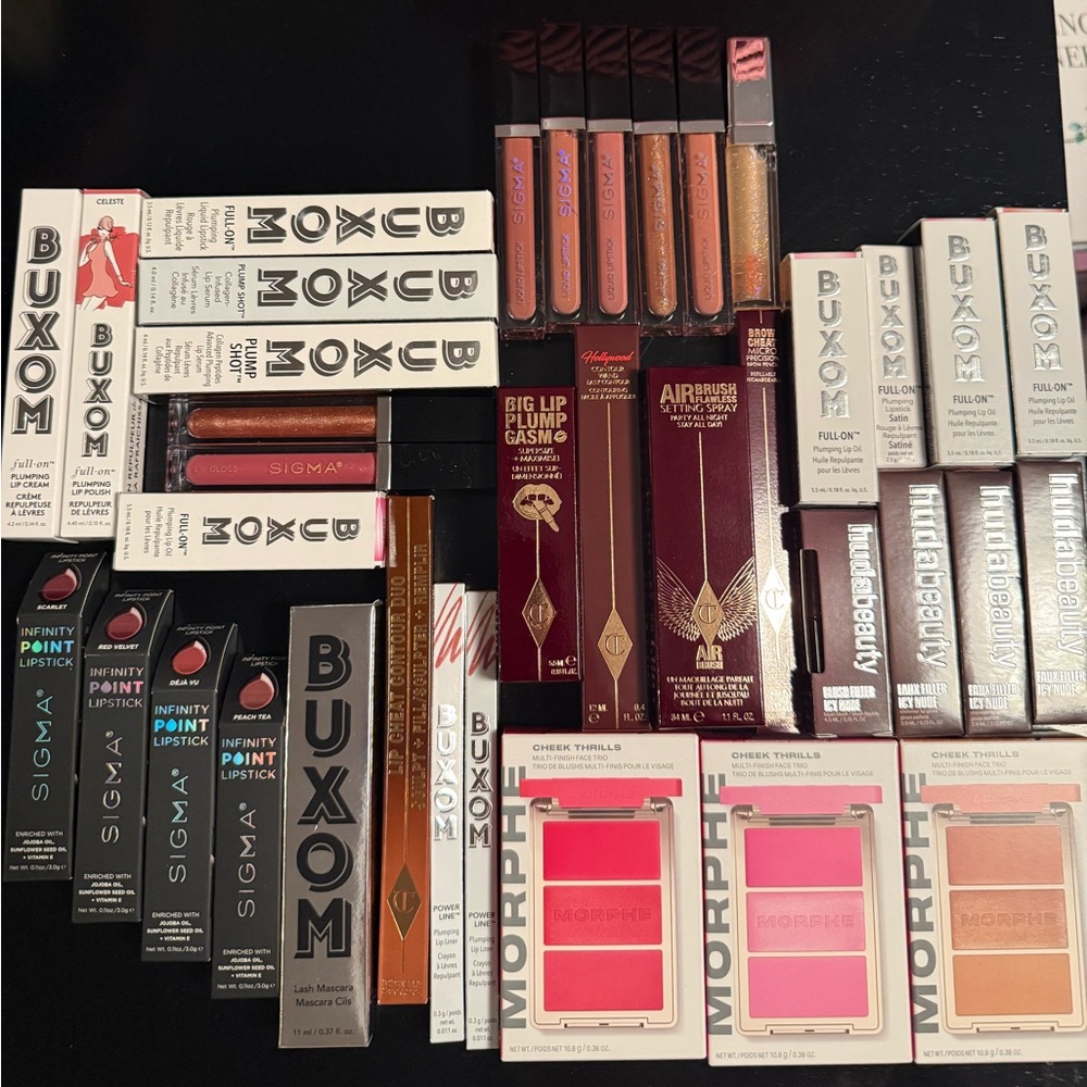 NWT Ultimate Lip and Cheek Set